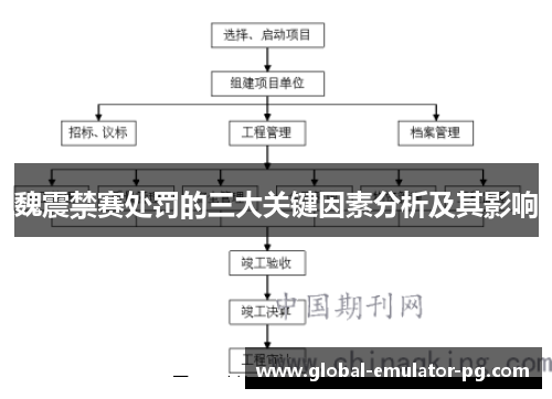 魏震禁赛处罚的三大关键因素分析及其影响
